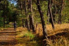 Wandern, Bergischer Weg